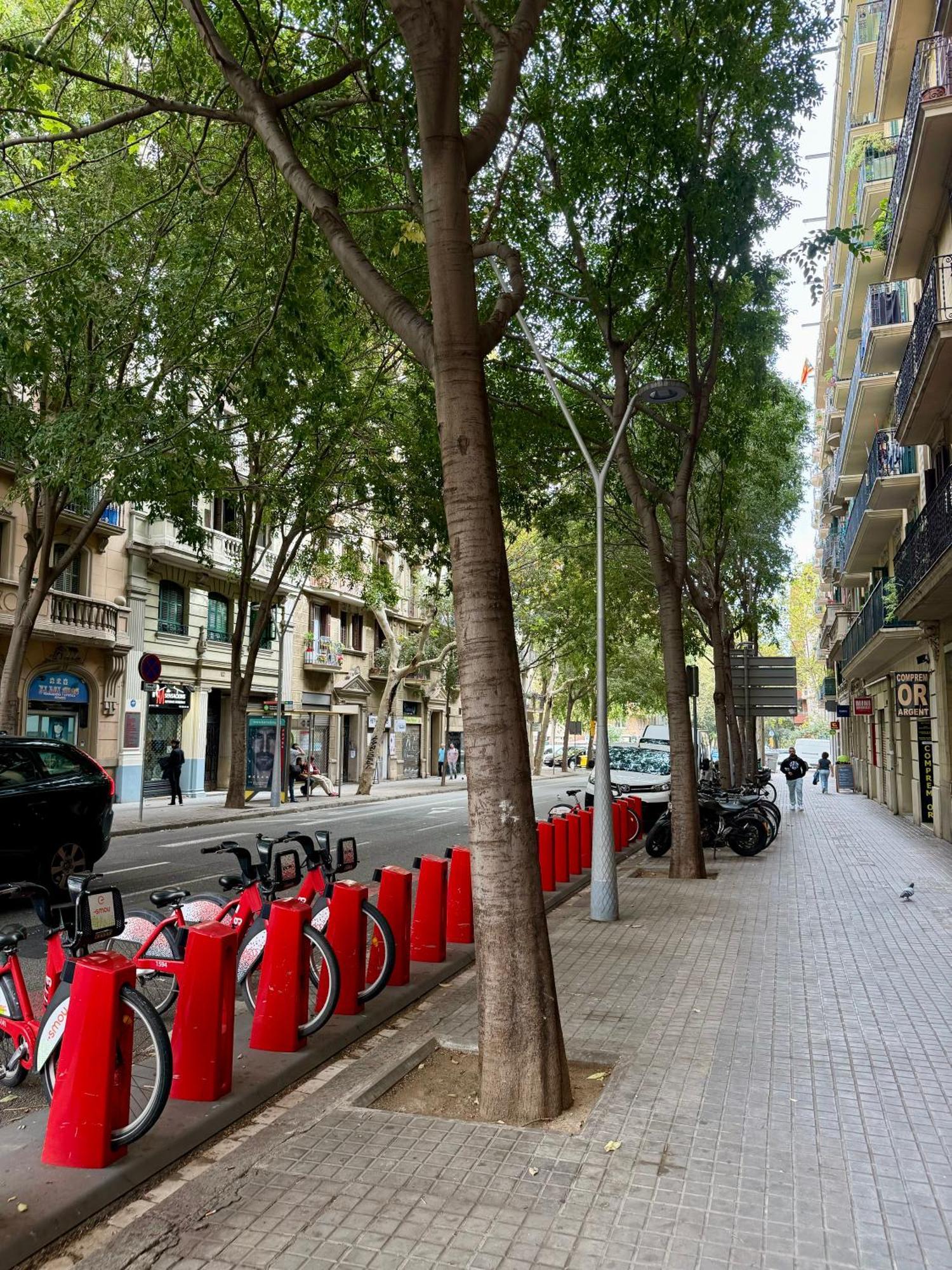 Newly Renovated Stylish Eixample - Great Location Barselona Dış mekan fotoğraf